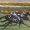【競馬/プリンシパルS】怪物ブレステイキングそこそこ強くてワロタ