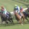 【競馬】シュヴァルグラン終わったとか言ってた奴wwww