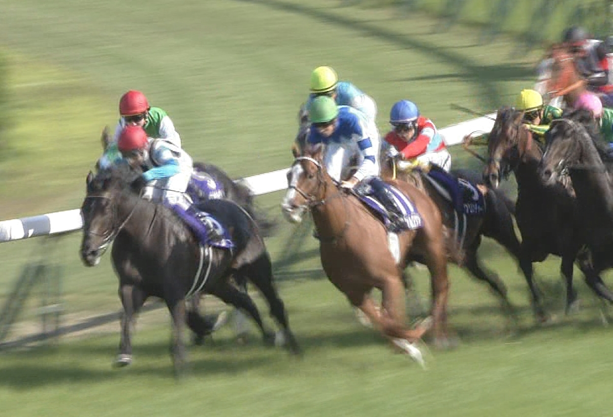 【競馬/京都大賞典】福永さん、せっかく乗れたシュヴァルグランで壮大にやらかすwwwww