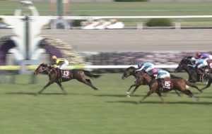 【競馬/菊花賞】ステイフーリッシュ◎の奴 【競馬/菊花賞】ステイフーリッシュ◎の奴