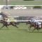 【競馬/菊花賞】ステイフーリッシュ◎の奴