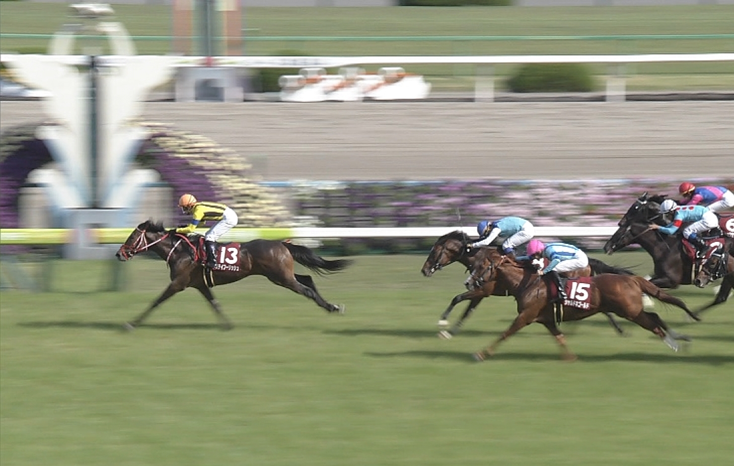 【競馬/京都新聞杯】ステイフーリッシュ中谷→藤岡で圧勝！！！！！