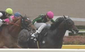 【競馬】悲報・・武豊騎手、シリウスS乗り馬なし