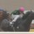 【競馬/ユニコーンS】2番人気9着グリム 川田騎手「スペースがないまま終わってしまった」