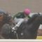 【競馬】悲報・・武豊騎手、シリウスS乗り馬なし