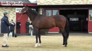 【競馬】今年からトーセンジョーダンが日本競馬リーディング界を変える件