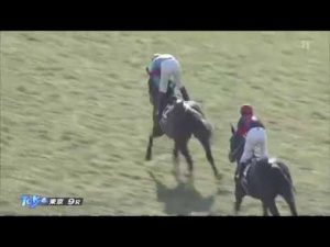 【競馬/日本ダービー】みんなもしかしてブラストワンピースの過去レース映像見てない？