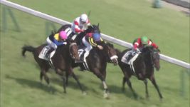 【競馬】ダービーに無敗馬が二頭以上出走した事ってある？