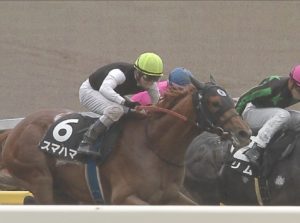 【競馬】スマハマ、ひっそりと中内田厩舎に転厩