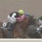 【競馬】スマハマ、ひっそりと中内田厩舎に転厩