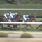 【競馬/日本ダービー】前走比17キロ増のブラストワンピースを見た大竹師「威圧感があります」