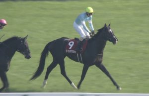 【競馬】ゴーフォザサミットがウインバリアシオンな件