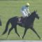 【競馬】蛯名正義騎手に今年中のダービー制覇のチャンス到来！！