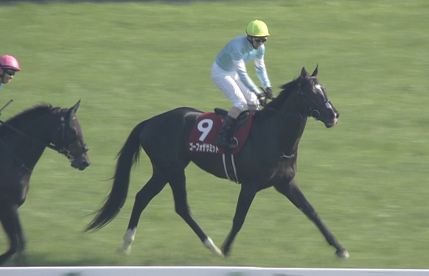 【競馬】ゴーフォザサミットが貨物機トラブルで米国遠征中止　藤沢和師「欠航だと連絡があった」
