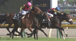 【競馬/セントライト記念】コズミックフォースの評価