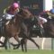 【競馬/日本ダービー】コズミックフォース買えたヤツは、なんで買えたの？