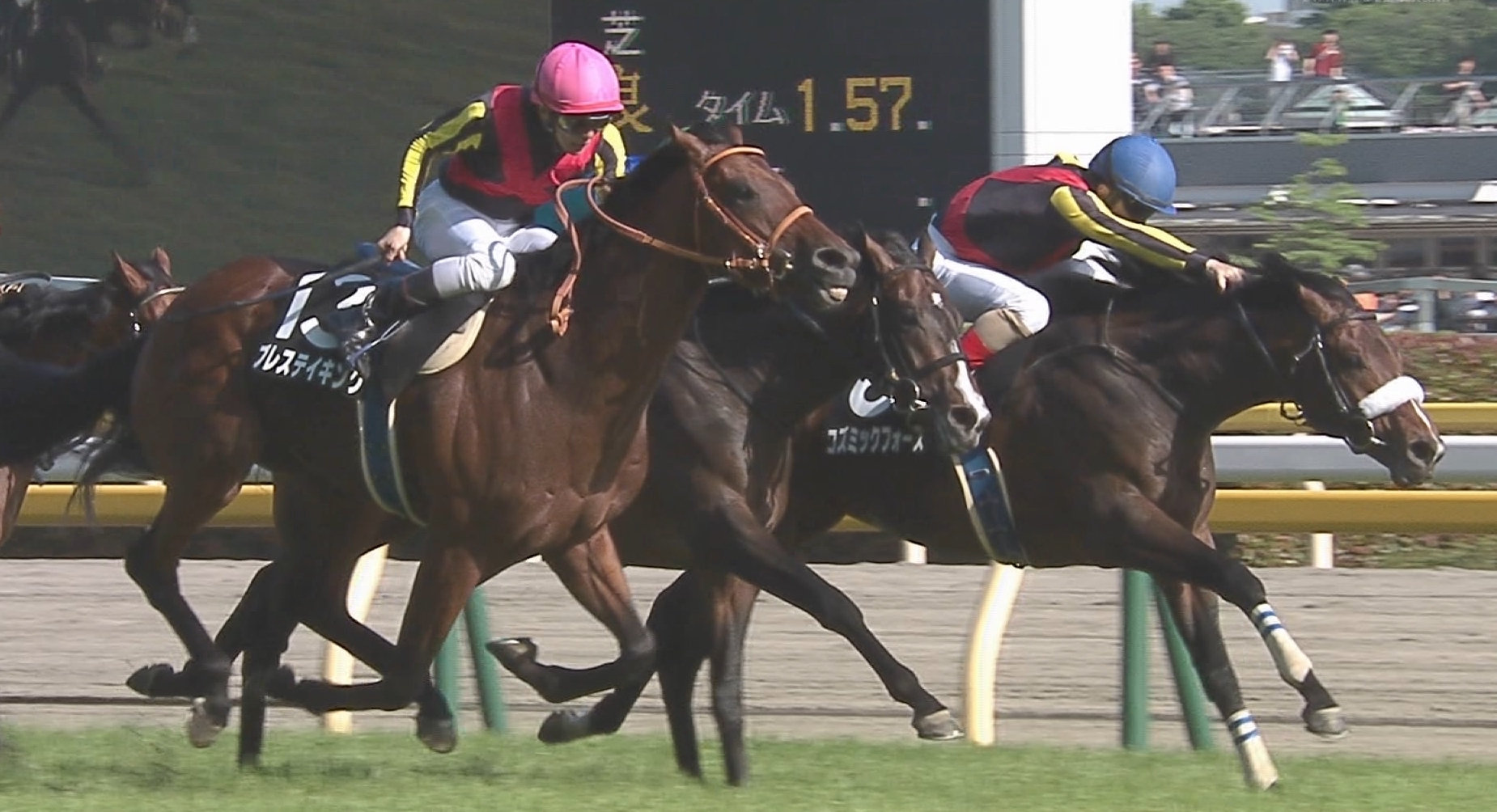 【競馬/セントライト記念】コズミックフォースの評価