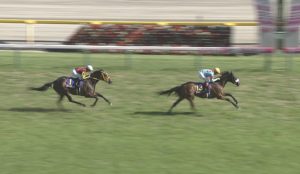 【競馬】国枝調教師「アーモンドアイの秋華賞は同世代の牝馬相手なら9割9分勝てる」 【競馬】国枝調教師「アーモンドアイの秋華賞は同世代の牝馬相手なら9割9分勝てる」
