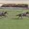 【競馬】国枝調教師「アーモンドアイの秋華賞は同世代の牝馬相手なら9割9分勝てる」