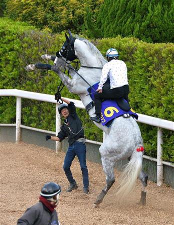 【競馬/NHKマイルC】徹底討論‥ロックディスタウン18着