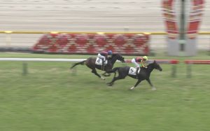 【競馬】菊花賞13着グロンディオーズ屈腱炎発症 【競馬】菊花賞13着グロンディオーズ屈腱炎発症