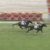 【競馬】3歳500万下2400ｍで２分２４秒４ｗｗｗｗｗｗｗｗ