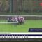 【競馬】[画像] 改修後のロンシャン競馬場が凄いことになってる件
