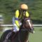 【競馬】藤岡佑介、ダービーで選択できる身分になる【サンリヴァルorステイフーリッシュ】