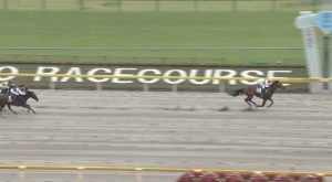 【競馬】大差→5馬身→5馬身差の3連勝決めたイーグルバローズ強すぎワロタｗｗｗｗｗｗ