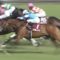 【競馬/京都新聞杯】アンカツのレース回顧「デムーロの位置取りは‥」
