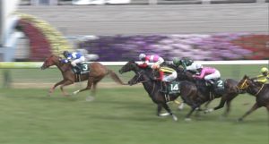 【競馬/葵S】武豊1番人気アサクサゲンキ5着←下手くそすぎワロタw