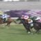 【競馬/葵S】武豊1番人気アサクサゲンキ5着←下手くそすぎワロタw