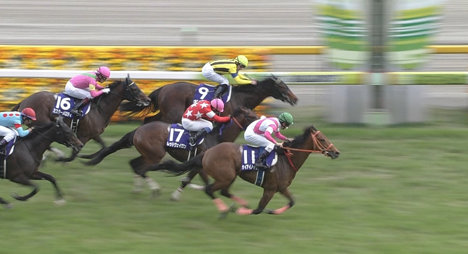 【競馬】NHKマイルC勝ったケイアイノーテックが東京新聞杯で１１着なんだけど