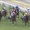【競馬】タワーオブロンドン NHKマイルCまさかの12着で英遠征白紙
