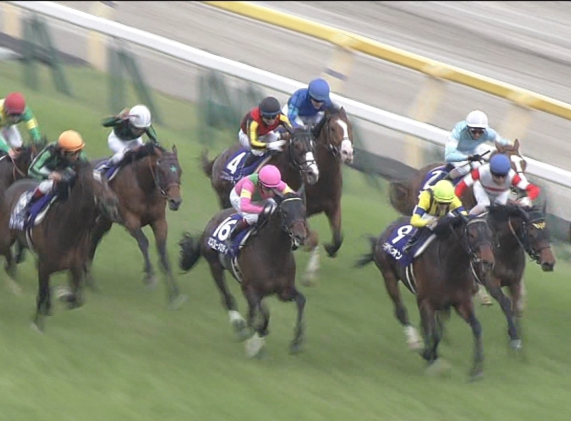 【競馬】タワーオブロンドン NHKマイルCまさかの12着で英遠征白紙