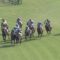 【競馬/京都新聞杯】タニノフランケル弱すぎワロタｗｗｗｗｗｗｗｗ