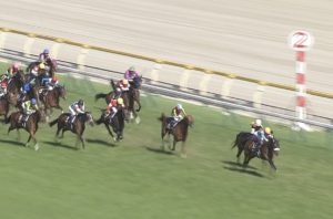 【競馬】種牡馬オルフェ完全終了・・ラキ珍三冠馬確定