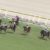 【競馬/オークス】ディープ軍団全滅。ディープ時代の終焉