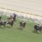 【競馬】種牡馬オルフェ完全終了・・ラキ珍三冠馬確定