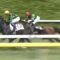 【競馬】一晩寝てみたがどうしてもデムーロが許せない