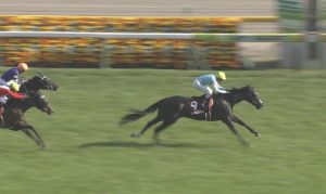 【競馬/神戸新聞杯】ゴーフォザサミットが空気wwww