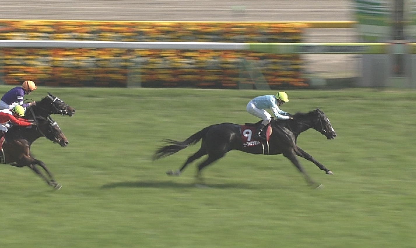 【競馬】青葉賞2着エタリオウはボウマンでダービーへ 【競馬】青葉賞2着エタリオウはボウマンでダービーへ