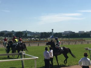 【競馬】レイエンダ強すぎワロタｗｗｗｗｗｗｗｗｗｗｗｗｗｗｗｗ