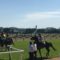 【競馬】レイエンダ強すぎワロタｗｗｗｗｗｗｗｗｗｗｗｗｗｗｗｗ