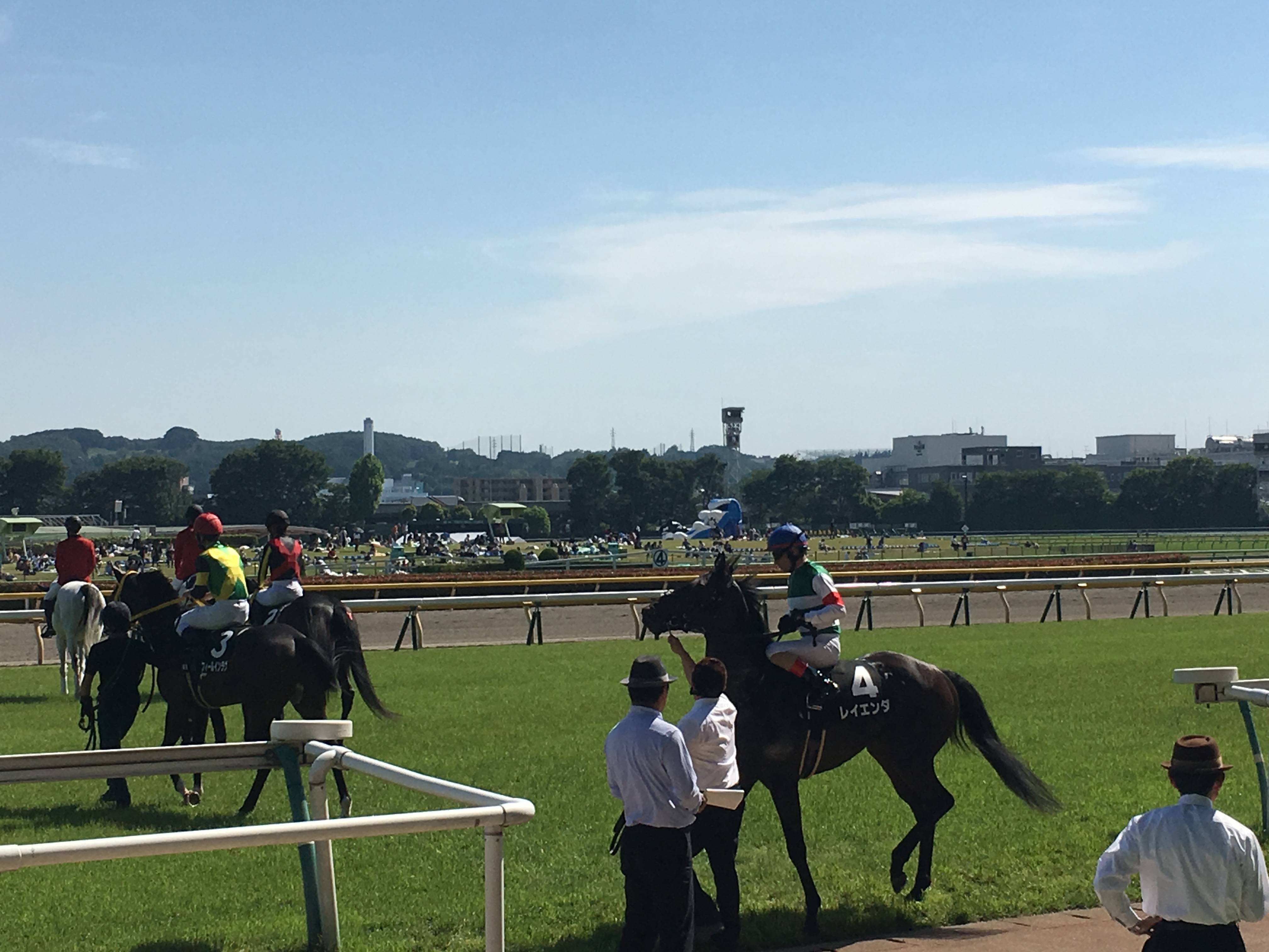 【競馬】レイエンダ強すぎワロタｗｗｗｗｗｗｗｗｗｗｗｗｗｗｗｗ