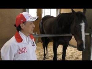 【競馬/ヴィクトリアM】[動画] リスグラシュー、インタビュー中に居眠りをしてしまうｗｗｗｗｗｗｗｗｗｗｗｗｗｗ