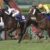 【競馬】野田みづき氏が落札したフランケル産駒の馬名を予想