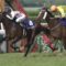 【競馬】野田みづき氏が落札したフランケル産駒の馬名を予想