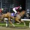 【競馬】[画像] 関東オークスごときでガッツポーズしまくる松岡