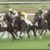 【競馬/2歳新馬】サートゥルナーリアはエピファ、リオンほどの化物ではなさそうな件